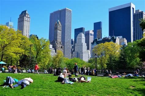 Funded primarily by individual donations, the central park conservancy cares for the entire park, tending to its maintenance and restoration. Central Park and Skyline in New York City, New York ...