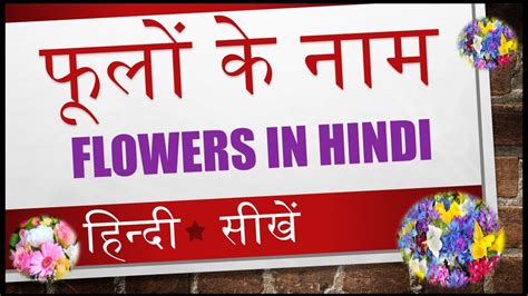 White flowers names in hindi. Learn name of flowers in Hindi Video 14 of 14 - YouTube