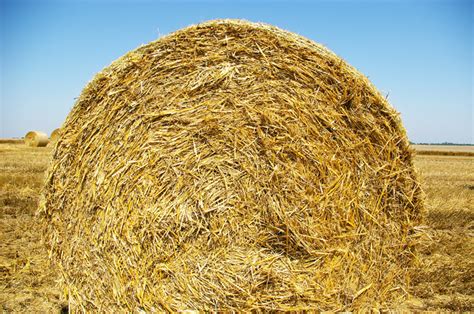 Free Straw Bale Photos And Pictures Freeimages