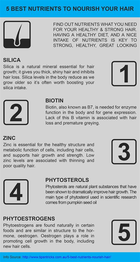 5 best nutrients to nourish your hair healthy hair food nourishing hair hair nutrients