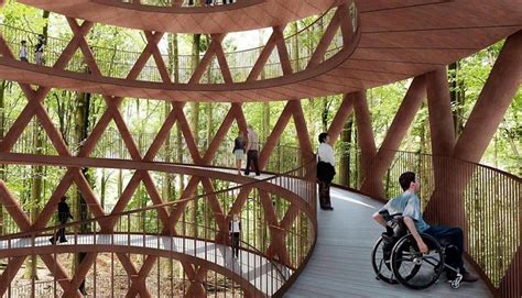 Treetop Walkway Provides An Elevated Path Through Danish Forest