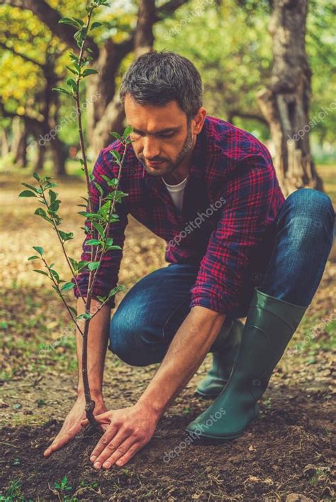 Young Man Planting Tree In Garden — Stock Photo © Gstockstudio 83766196