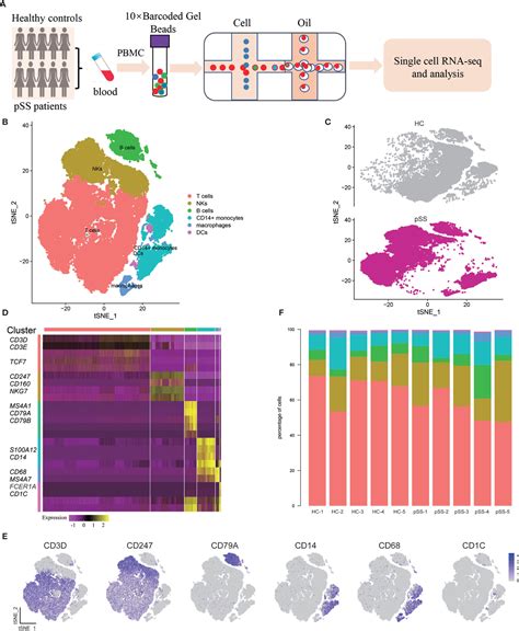 Frontiers Single Cell Rna Sequencing Reveals The Expansion Of Free