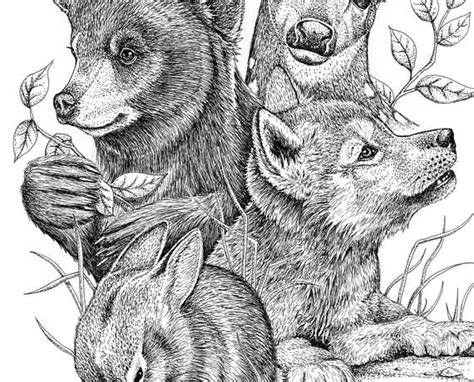 Small Baby Forest Animals Art Print Pen Ink Drawing Unframed Etsy
