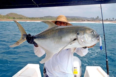 La Pesca Deportiva Contribuye A La Economía Del País Comisión