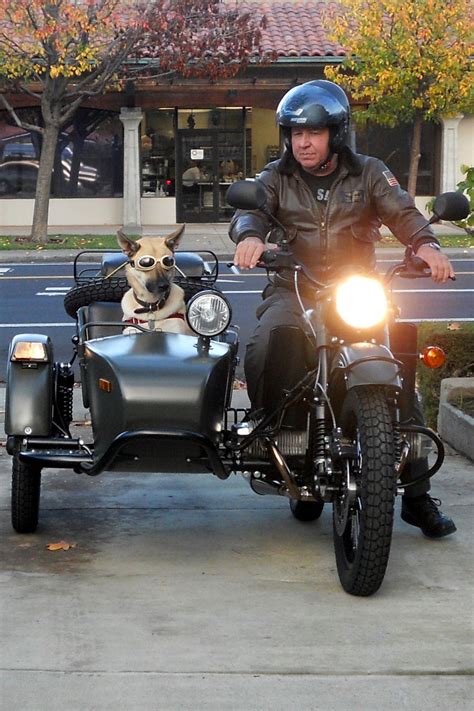 My Dog Niner In His Sidecar Dec 2012 After Taking Delivery From Ski