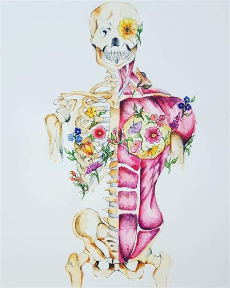 A Drawing Of A Human Skeleton With Flowers On It S Chest And Back Side