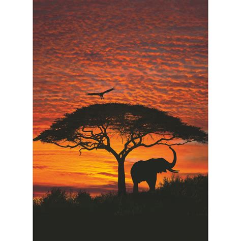 Komar Papírová Fototapeta African Sunset 194 X 270 Cm Koupit V Obi