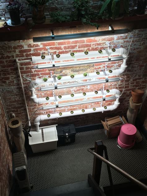 Have to give it up to up to @carpedimus. DIY gardening- - Indoor wall NFT hydroponic system ...