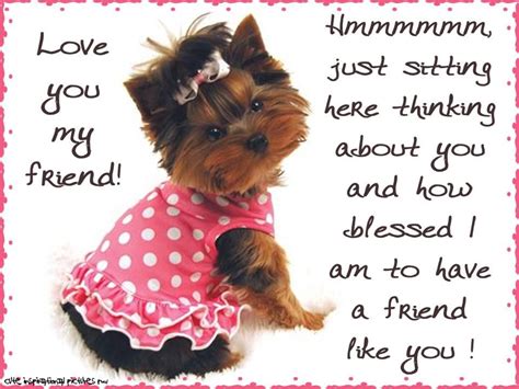 These quotes can make you smile thinking of your best friend. Love You My Friend....thinking Of You Pictures, Photos ...