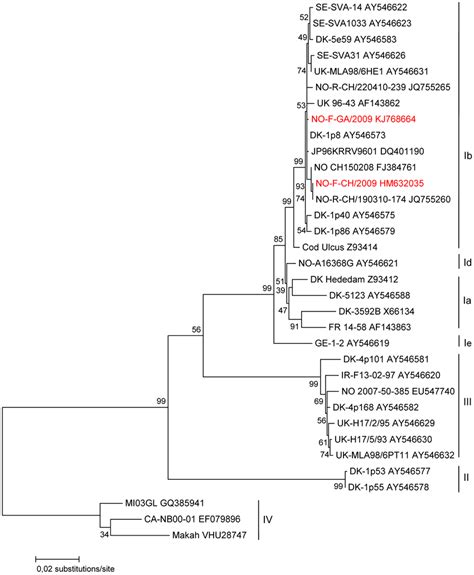 Maximum Likelihood ML Phylogenetic Tree Showing The Relationship Of Download Scientific