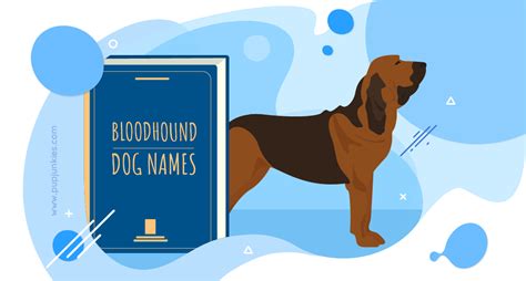 100 Most Popular Bloodhound Dog Names Of 2021