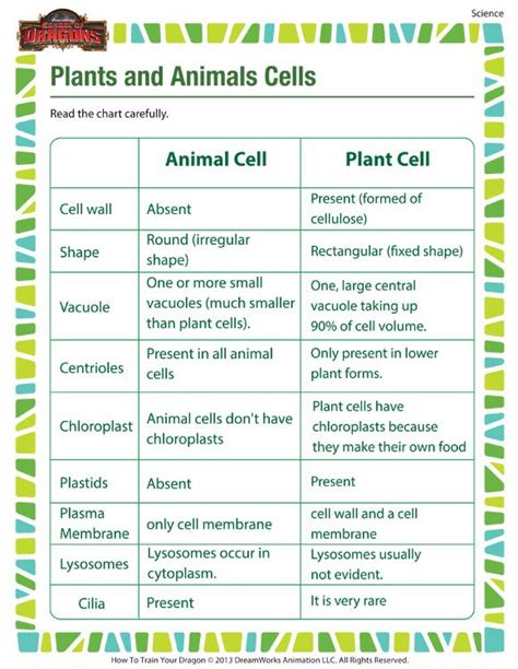 Plant Vs Animal Cells Worksheets