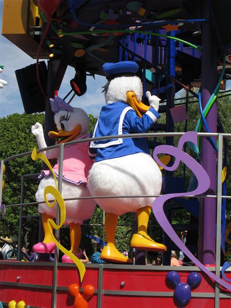 Img1407 Disney Celebration Pararde Donald And Daffy Dan