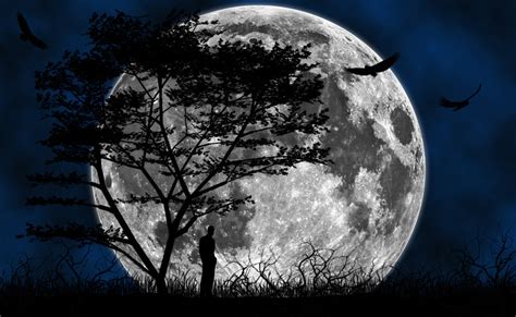 Free Download Moon Wallpapers Hd Wallpapers 900x554 For Your Desktop