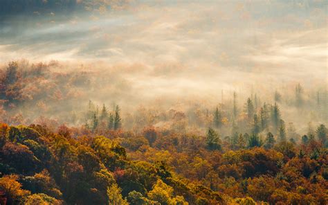 Nature Landscapes Hills Fog Mist Haze Trees Forest Color Autumn Fall Seasons Scenic