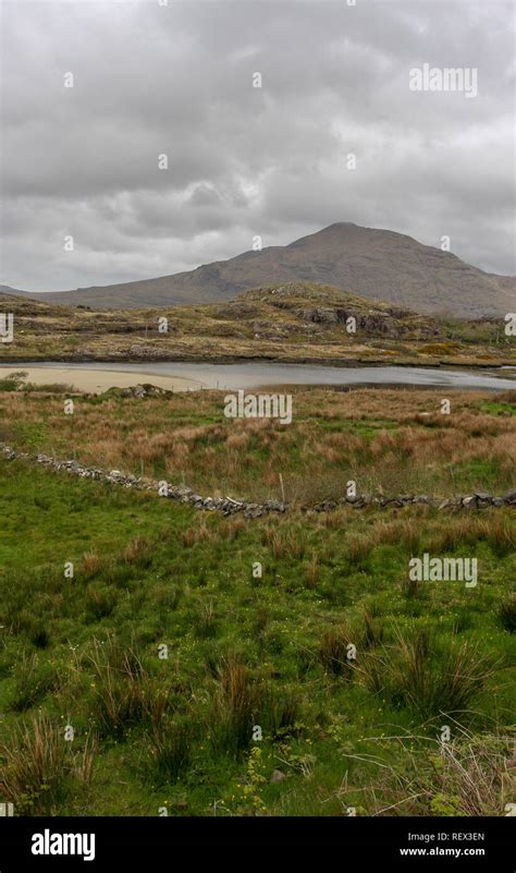 Stone Wall In Field In West Of Ireland With County Mayo Countryside And
