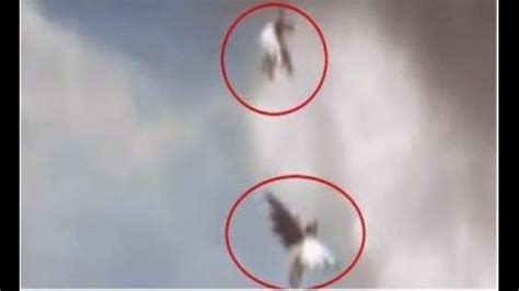 Amazing Two Angels Caught On Camera Flying In Brazil Pics And Video