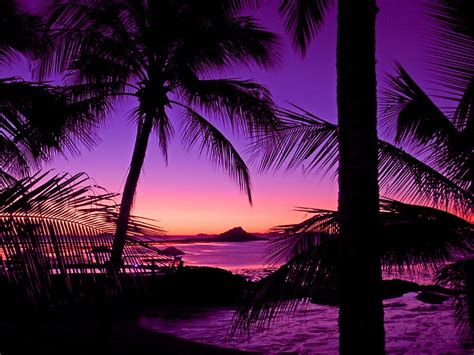 Tropical Island Sunset By Chris Kean Redbubble