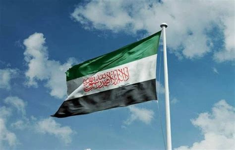 علم سوريا الجديد