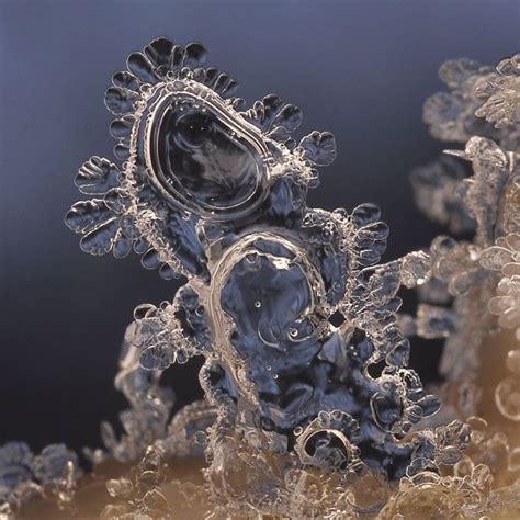 Andrew Osokins Macro Photographs Of Snowflakes And Ice Formations Snow