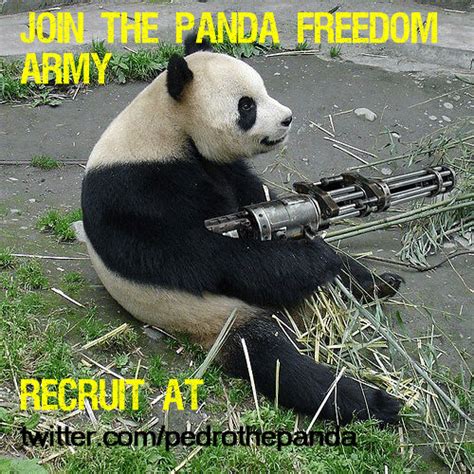 Panda Freedom Army Machine Gun Flickr Photo Sharing