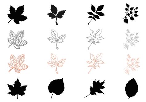 Fall Leaves Silhouette At Getdrawings Free Download