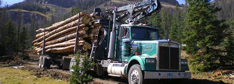 Wyoming Timber Sales Bureau Of Land Management