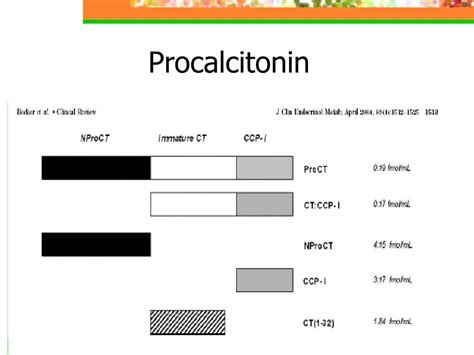Ppt Procalcitonin Powerpoint Presentation Free Download Id3727242