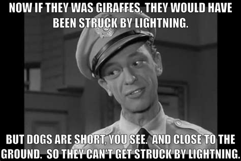 Barney Fife Giraffes The Andy Griffith Show Andy Griffith Quotes The