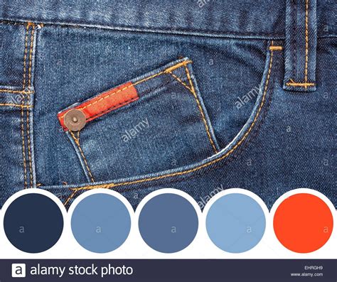 Color Palette Of Blue Denim Jeans Stock Photo Royalty Free Image