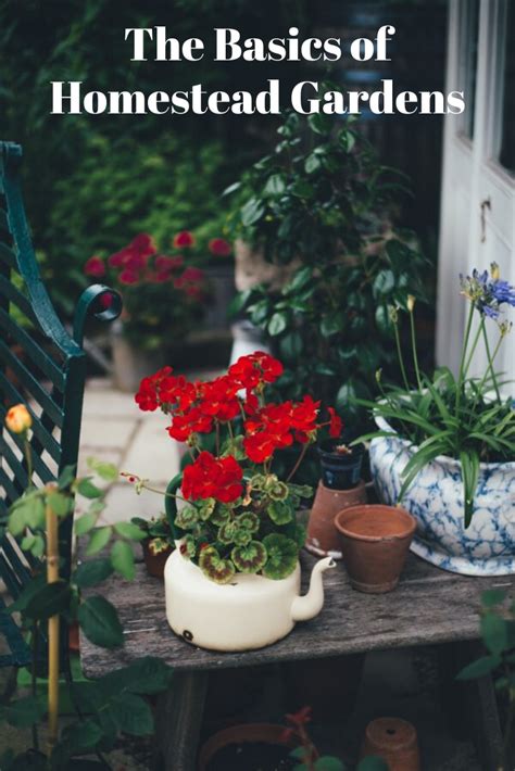 The Basics of Homestead Gardens | Plants, Container gardening, Garden