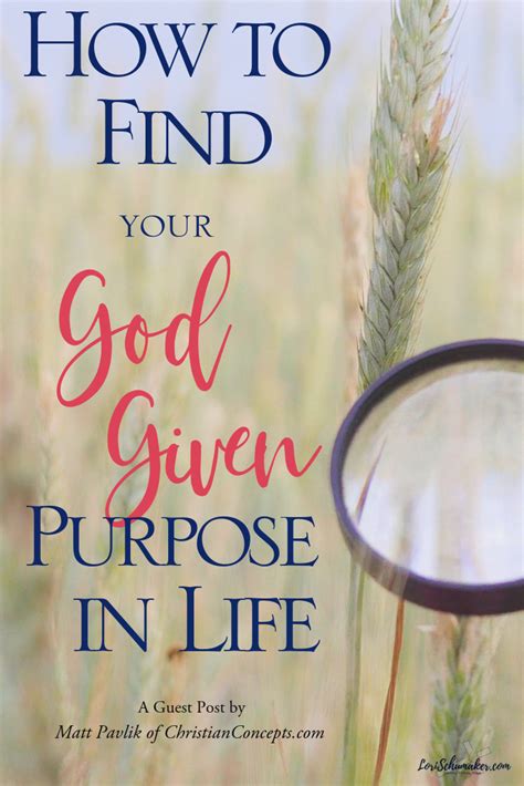 How To Find Your God Given Purpose In Life Lori Schumaker Life