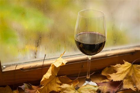 The Best Wines To Drink In Autumn Parkes Champion Post Parkes Nsw
