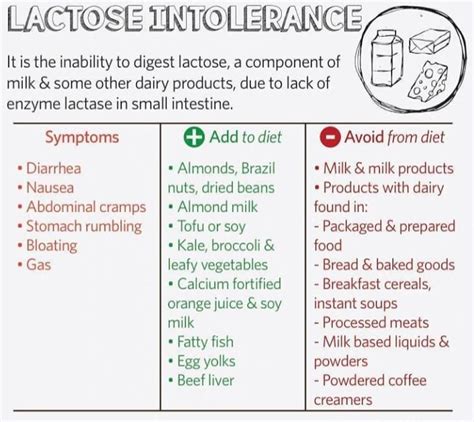 Foods To Eat And Foods To Avoid In Case Of Lactose Intolerance