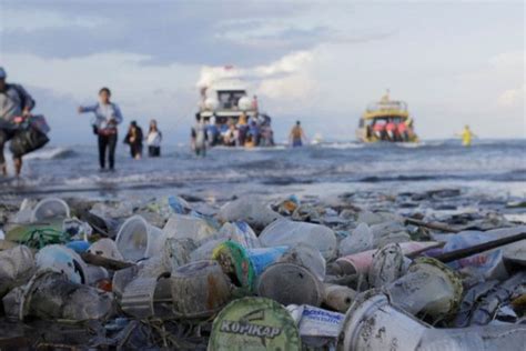 Contoh Karya Ilmiah Tentang Sampah Plastik Foto Modis