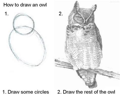 Add two smaller circles with spots inside. How To Draw An Owl