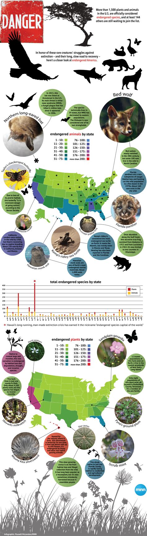 The Most Endangered Species In The Usa | lifehack