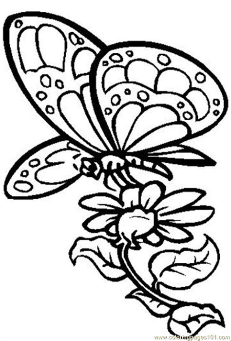 Flowers And Butterflies Drawings With Bows ClipArt Best