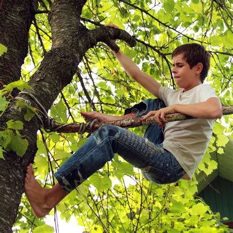 How To Climb A Tree Without Branches Lillia Rockwell