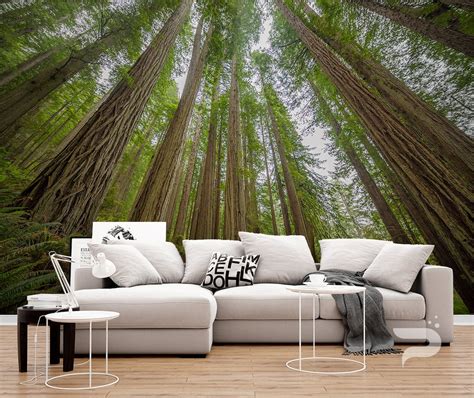 Sequoia Forest Mural Giant Trees Wallpaper Redwood Wall Etsy