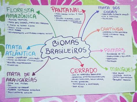 Mapa Mental Sobre Biomas Brasileiros Para Facilitar Seus Estudos Images