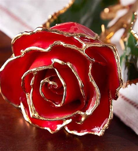 Enchanting 24k Gold Dipped Rose With Godiva® In 2022 Gold Dipped Rose