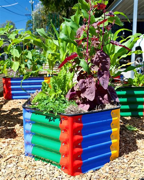 Grow your own fresh, organic fruit and vegetables using one of birdies garden products quality made raised garden beds or high side raised garden bed. Pin by Birdies Garden Products on Raised Garden Beds ...