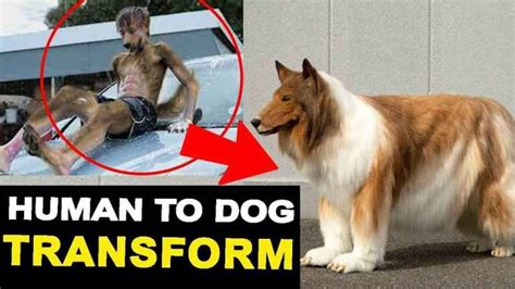 Japanese Man Spends More Than 15000 To Transform Into A Dog