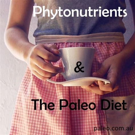 phytonutrients and the paleo diet the paleo network