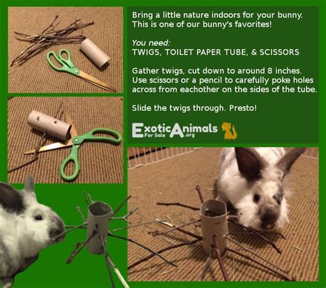 I wrapped it with bunny safe twine but it still got chewed and demolished. Twig Tree - DIY Bunny Rabbit Toys that are Cheap and Easy ...