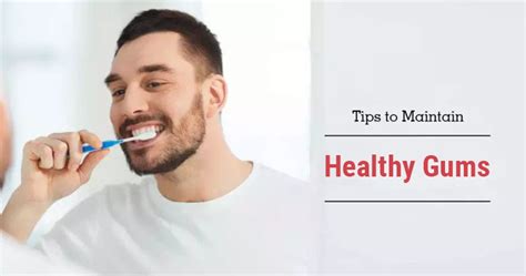 All You Need To Know To Maintain Healthy Gums
