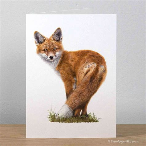 Brief Encounter Red Fox Greeting Card By Wildlife Artist Angie