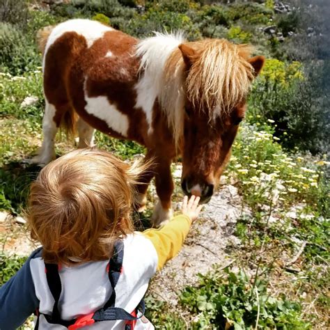 5 Reasons Horseback Riding Helps In Child Development 1 Improved